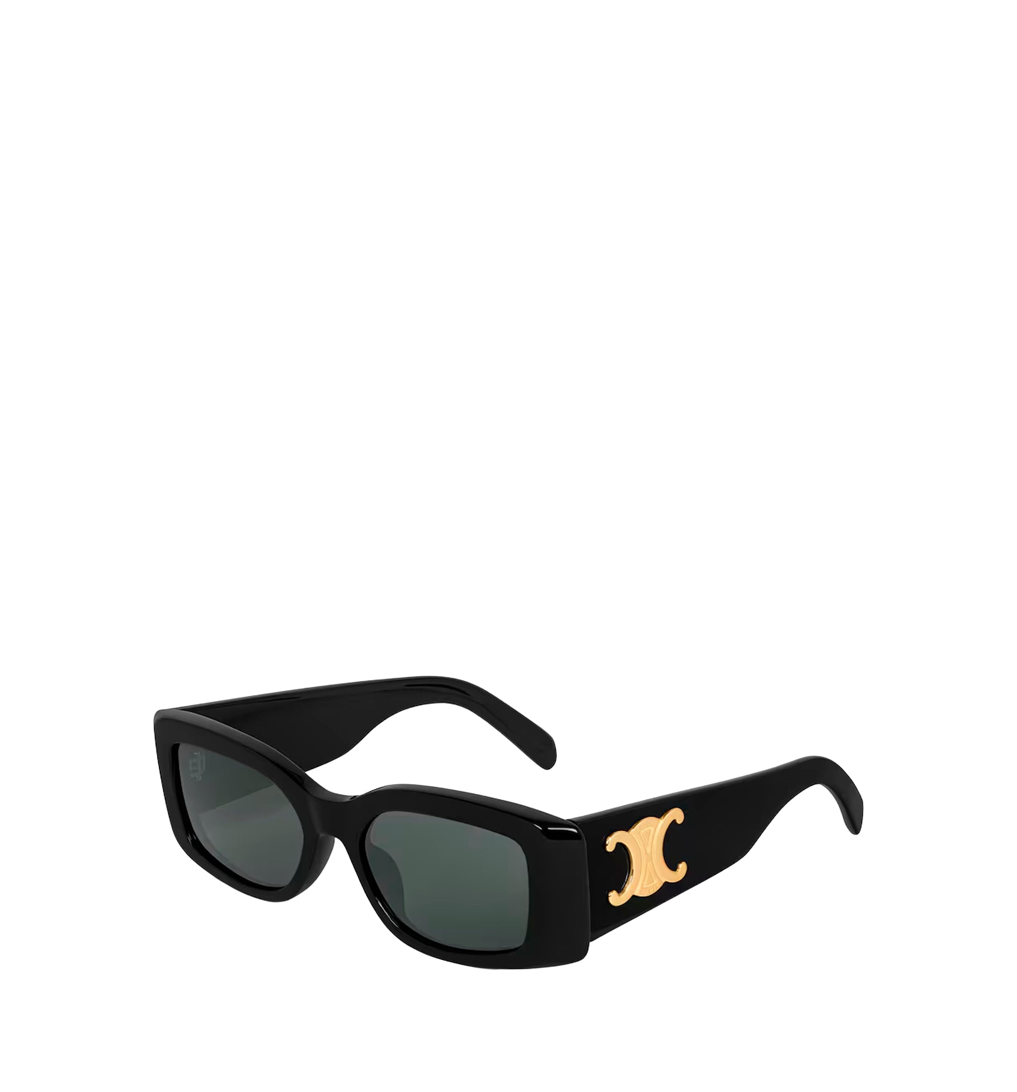 Triomphe Xl 01 Sunglasses In Acetate
