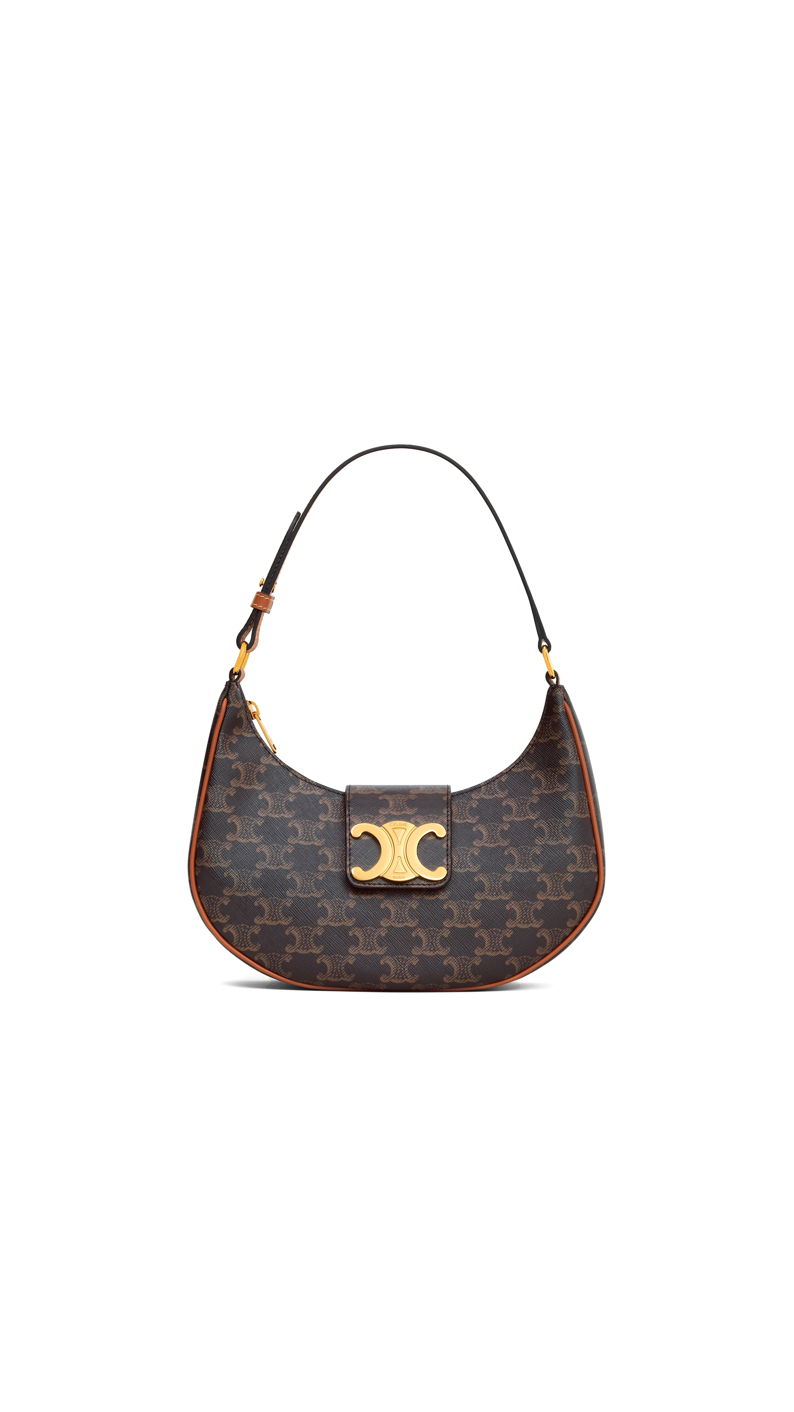 Medium Ava Triomphe Bag in Triomphe Canvas and Calfskin