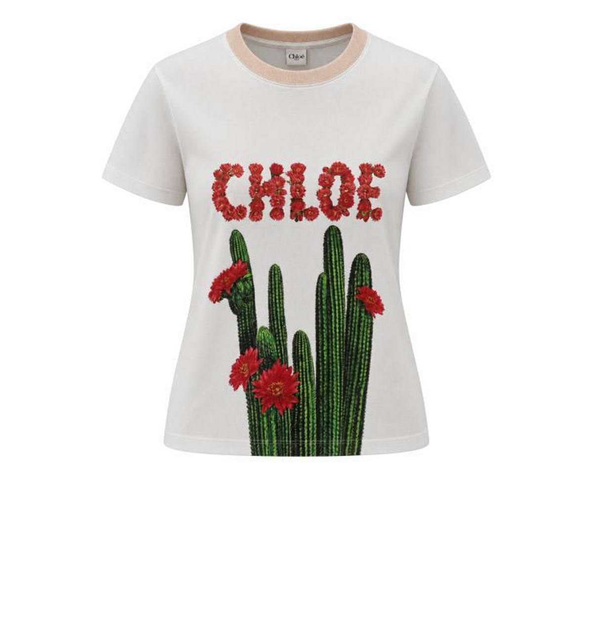 Graphic print T-shirt
