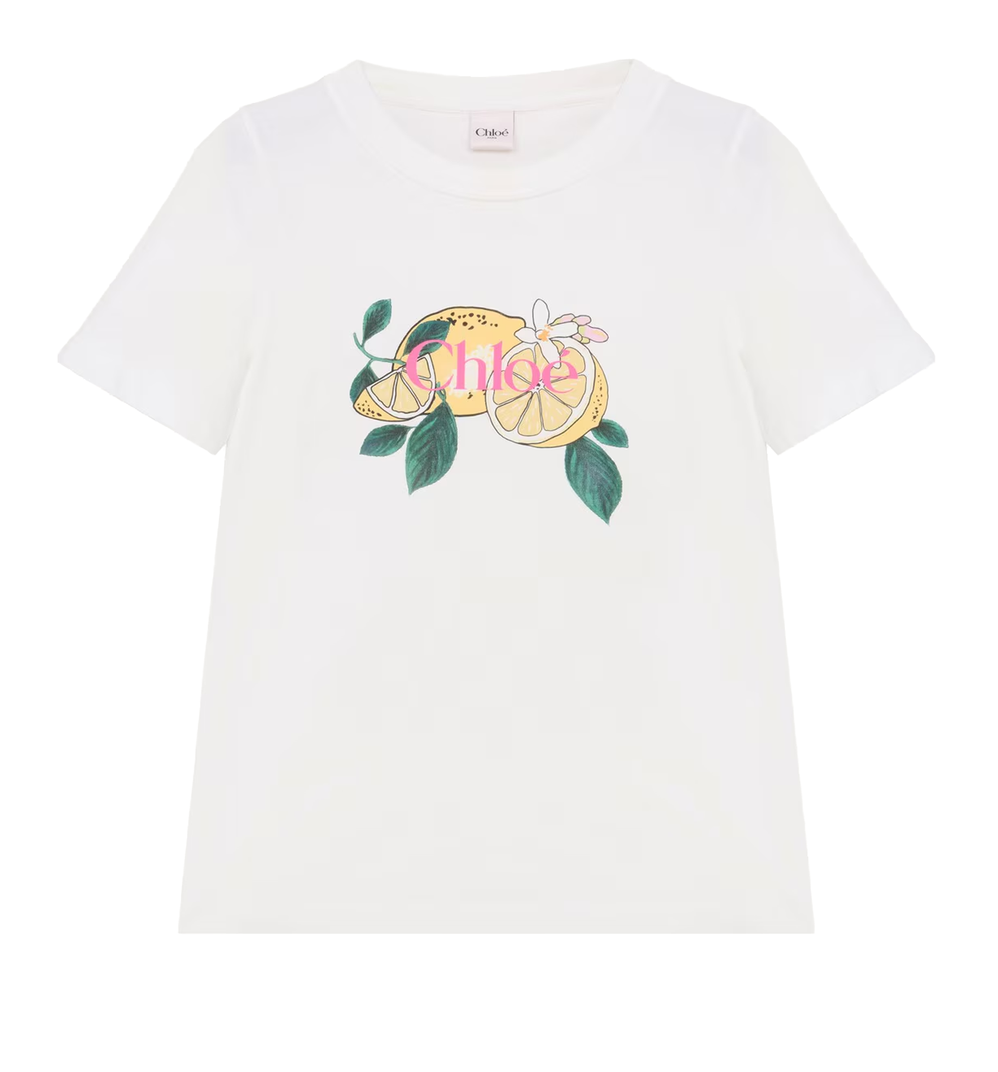 Crew-neck logo T-shirt in cotton jersey