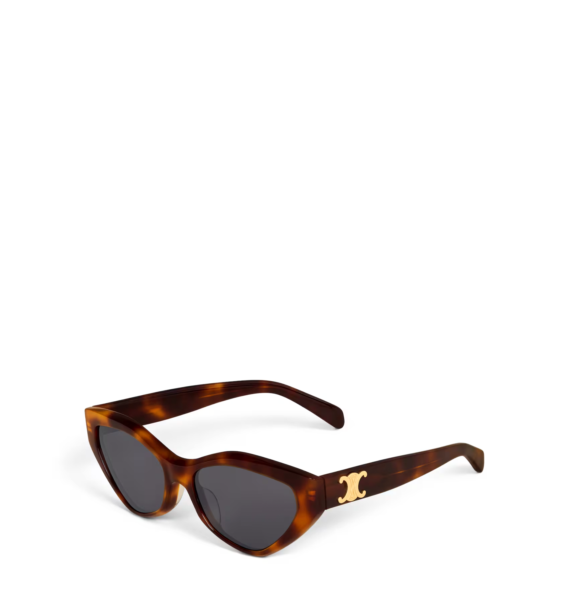 Triomphe 17 sunglasses in Acetate
